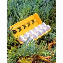 New 🔔 PopFun-12 PCS Matching Easter Egg Set 😀 -Easter Toys Store popfun 12 pcs matching easter egg set14243074 a03NOWA